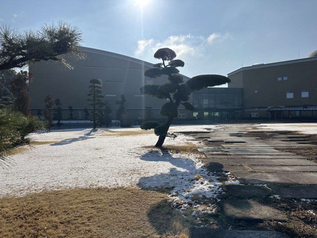 (Upload-from-mobile-1745018590)IMG_8698